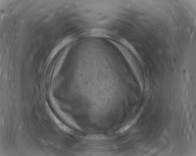 X0000084051434200703161845