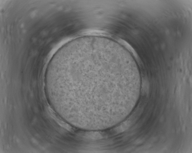 X0000084051435200703161845