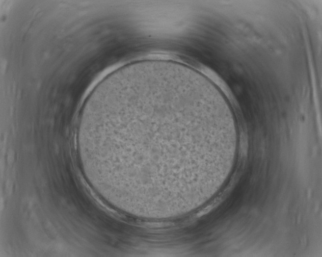 X0000084051436200703161845