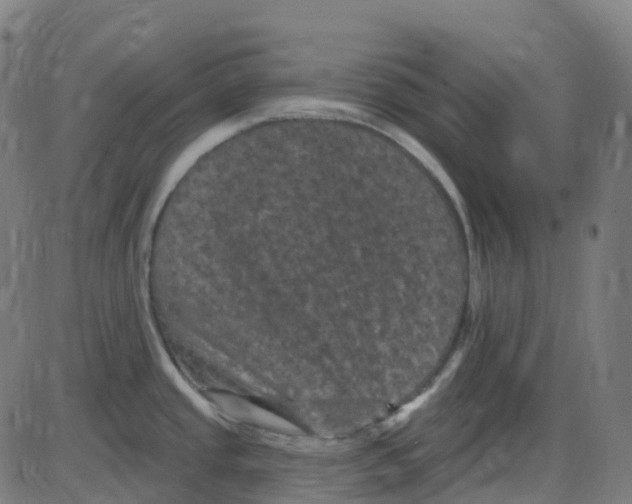 X0000084051437200703161845