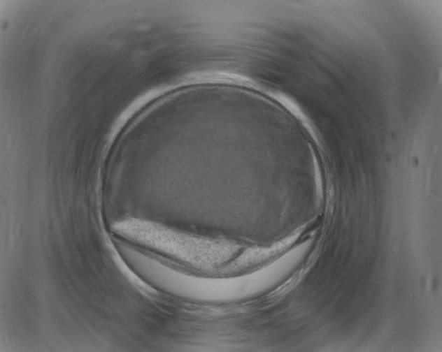 X0000084051438200703161845