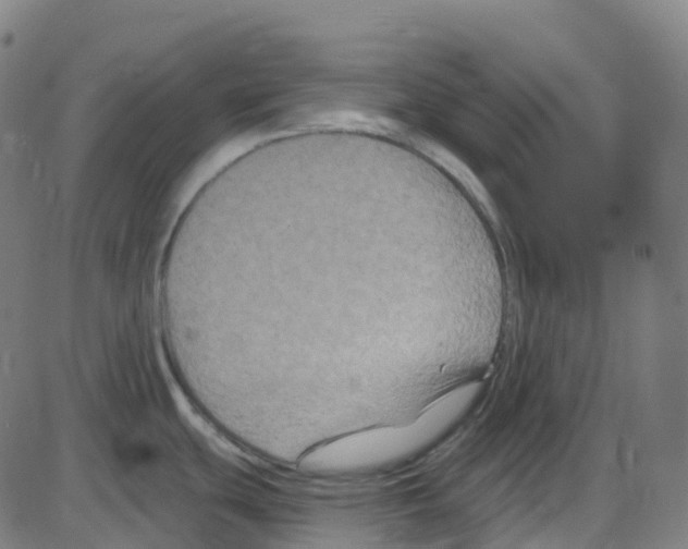 X0000084051439200703161845