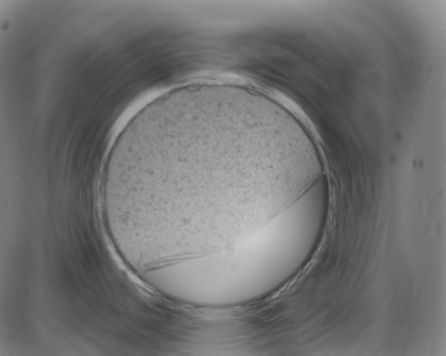 X0000084051440200703161845