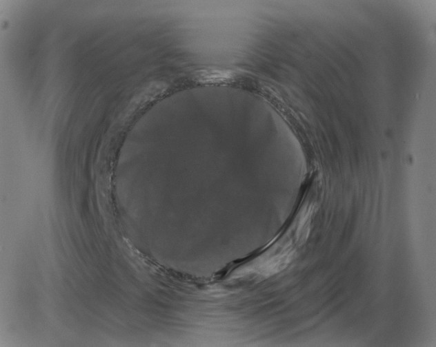 X0000084051441200703161845