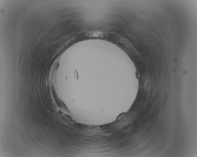 X0000084051442200703161845