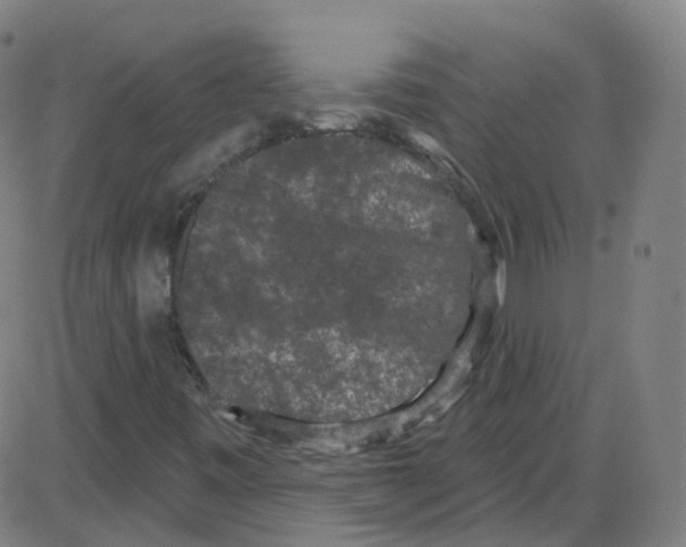 X0000084051443200703161845