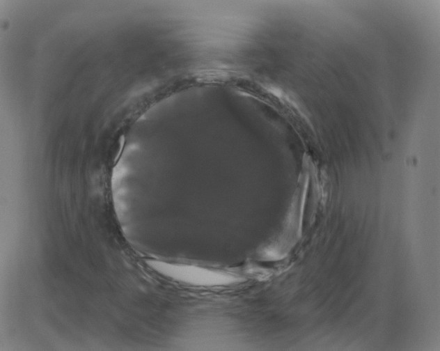 X0000084051445200703161845