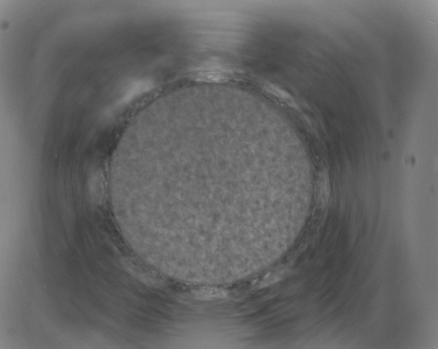 X0000084051446200703161845