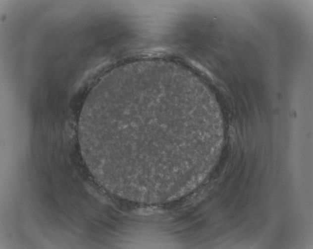 X0000084051447200703161845