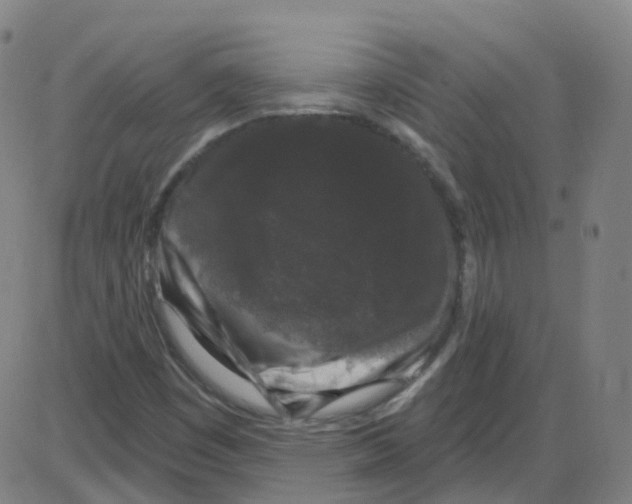 X0000084051449200703161845