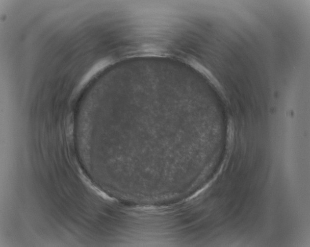 X0000084051450200703161845