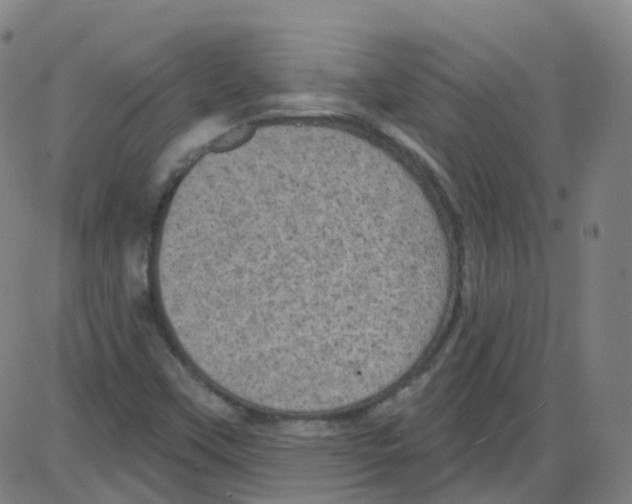 X0000084051451200703161844