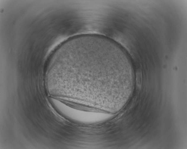 X0000084051452200703161844