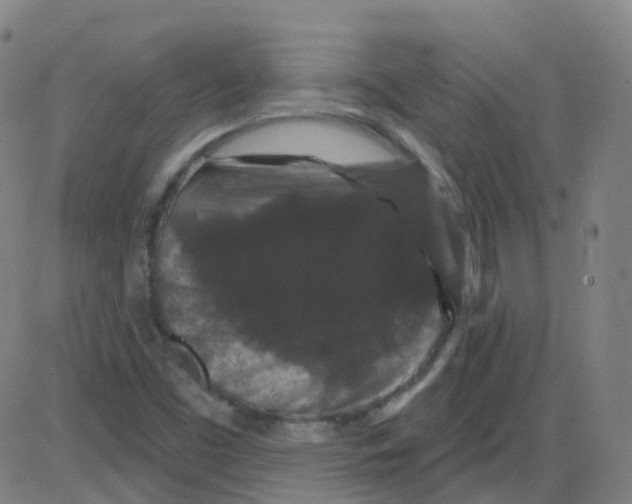 X0000084051453200703161844