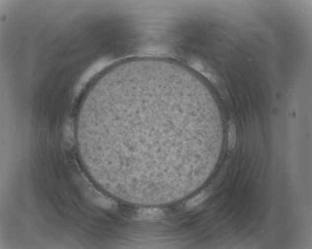 X0000084051454200703161844