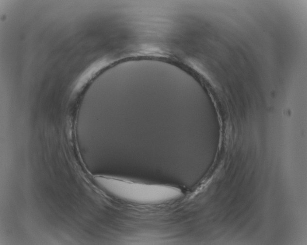 X0000084051455200703161844