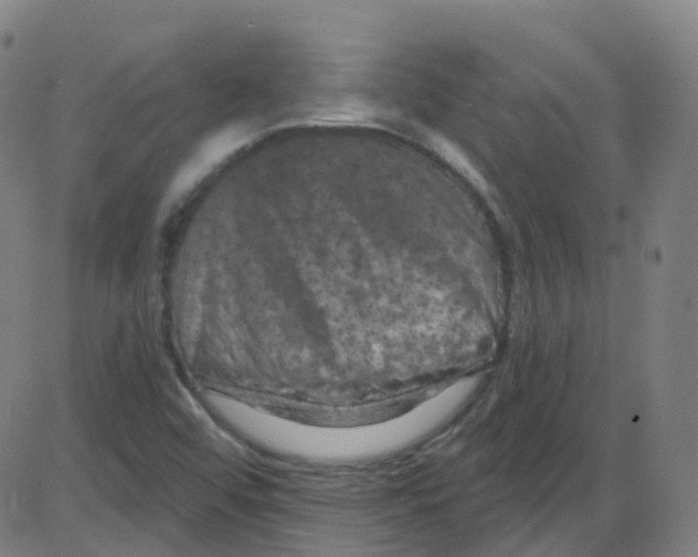 X0000084051456200703161844