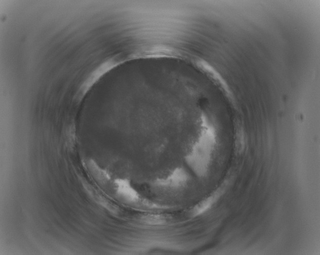 X0000084051457200703161844