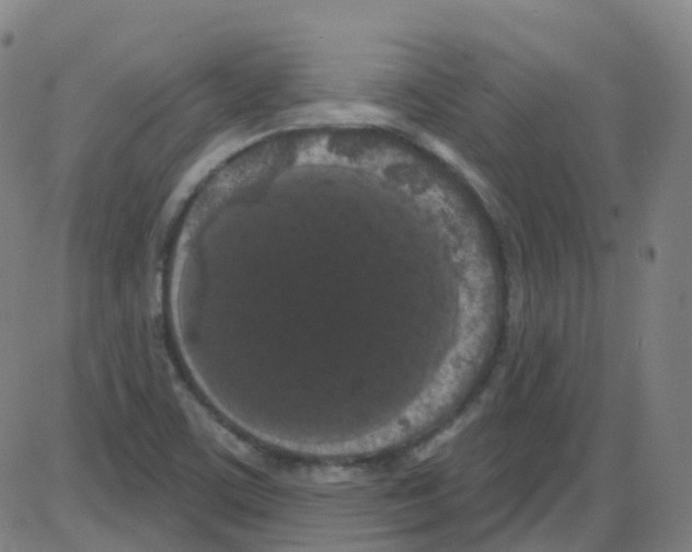 X0000084051459200703161844