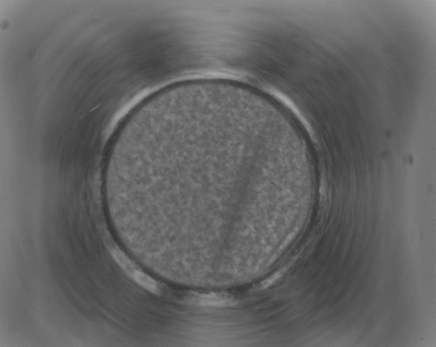 X0000084051460200703161844