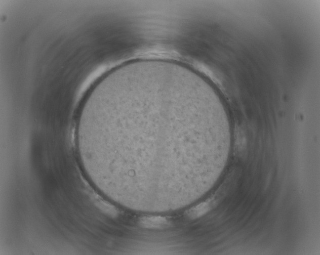 X0000084051462200703161844