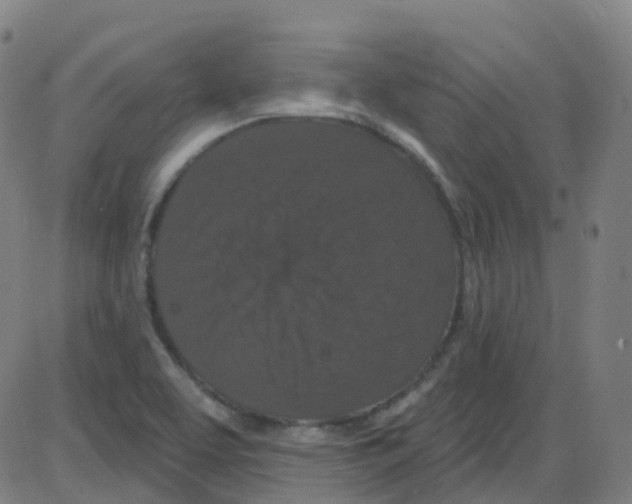 X0000084051463200703161844