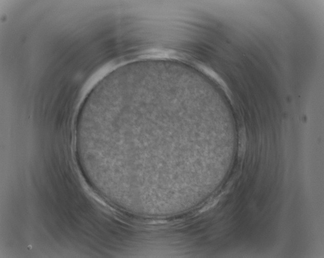 X0000084051467200703161844