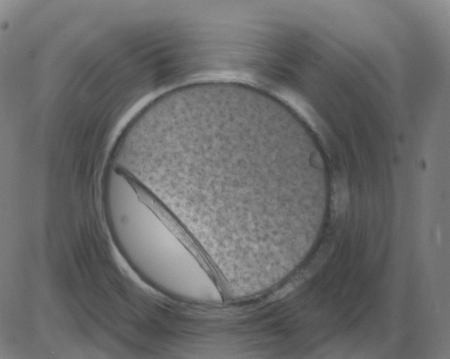 X0000084051468200703161844