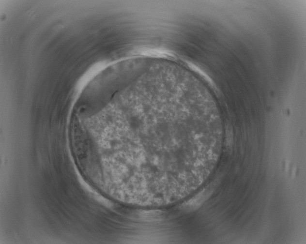 X0000084051471200703161844