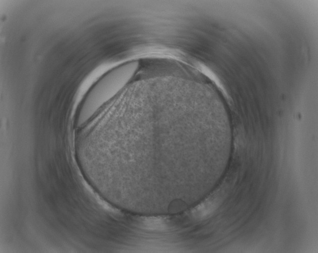 X0000084051472200703161844