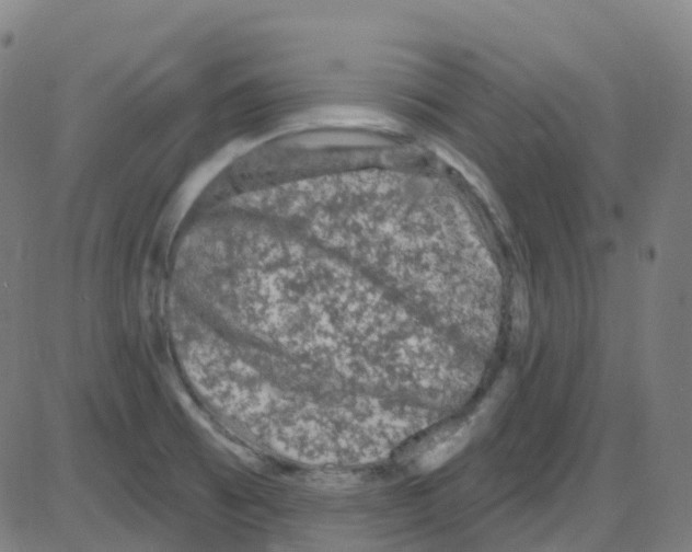 X0000084051473200703161844