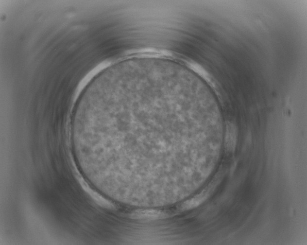 X0000084051474200703161844