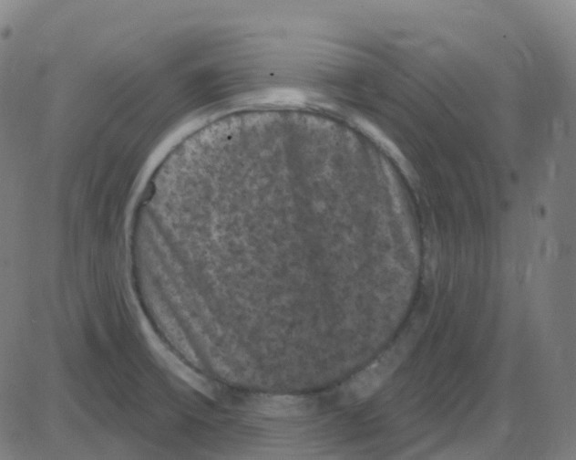 X0000084051475200703161844