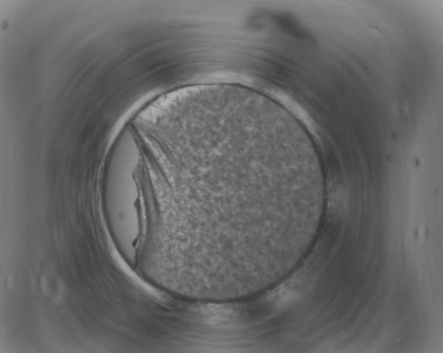 X0000084051476200703161844