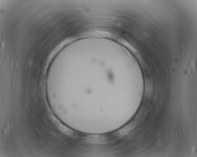 X0000084051478200703161844