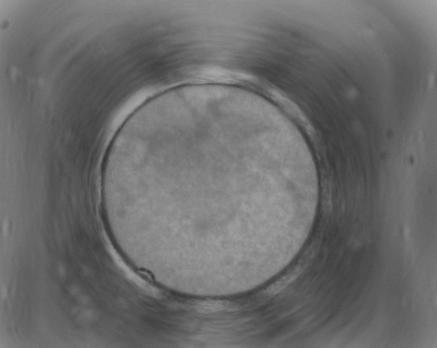 X0000084051479200703161844