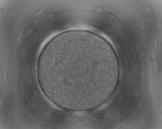 X0000084051480200703161844