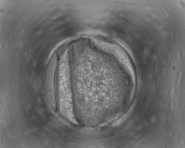 X0000084051481200703161844