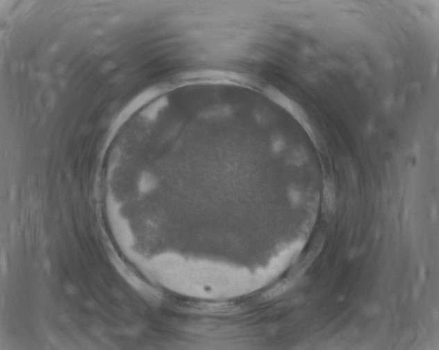 X0000084051482200703161844