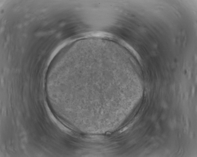 X0000084051483200703161844