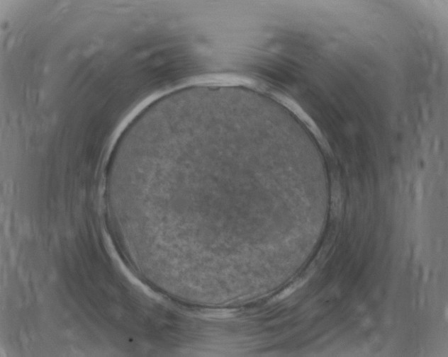 X0000084051484200703161844