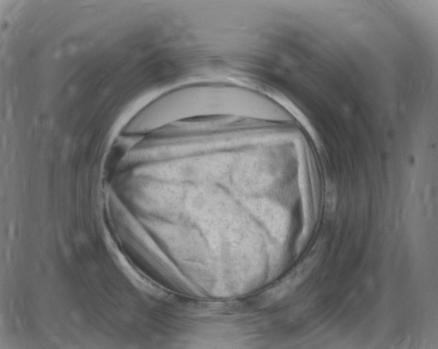 X0000084051485200703161844