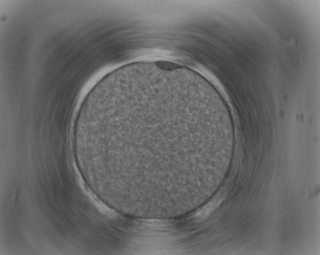 X0000084051488200703161844