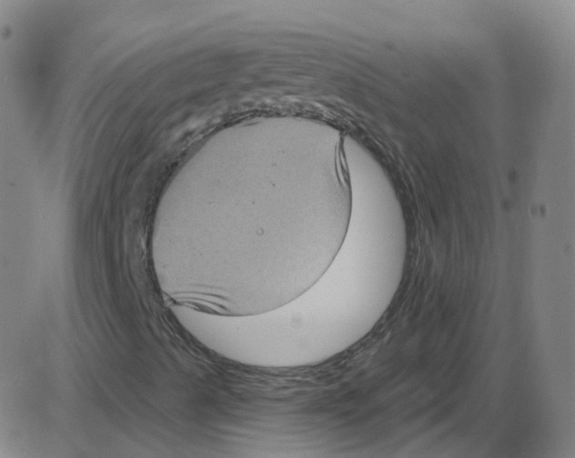 X0000084051489200703161843