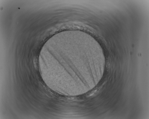 X0000084051490200703161843