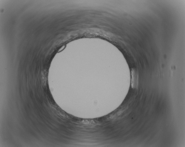 X0000084051491200703161843