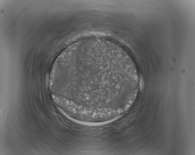 X0000084051492200703161843