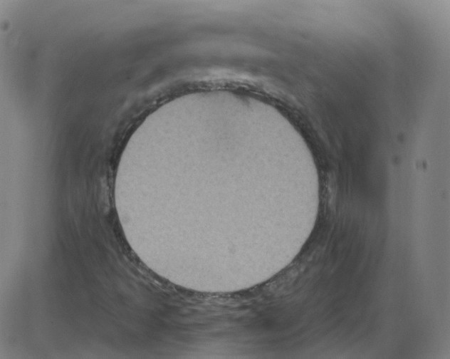 X0000084051493200703161843