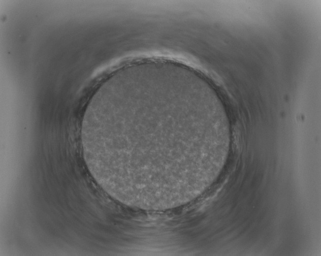 X0000084051494200703161843