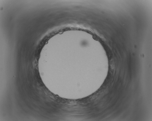 X0000084051495200703161843